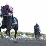 Making a backstretch home for the holidays