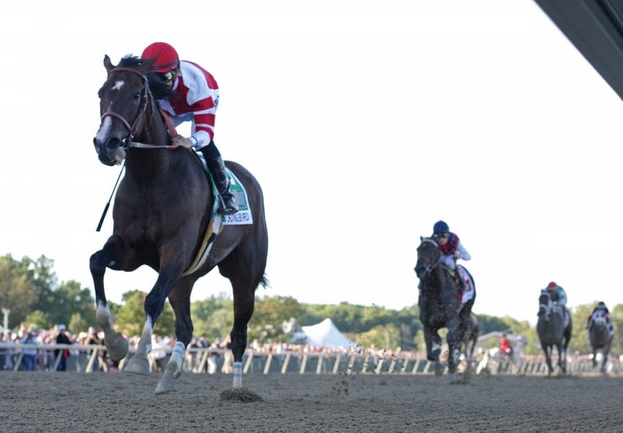 09-24-16-10-songbird_cotillionstks_04 Songbird