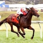 Songbird gallops to Cotillion triumph