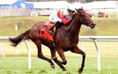 My Impression sweeps to Oaks victory