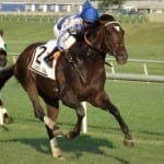 It’s Tiz the Law in NTRA Top Thoroughbred Poll