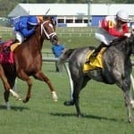 Delaware Park adds day
