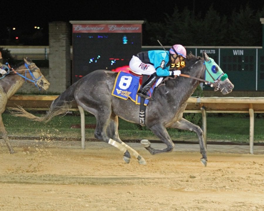 bullets-fever-west-virginia-lottery-breeders-classic-10-08-16-r04-ct-001 Bullets Fever