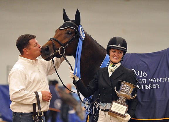 Thoroughbred Makeover