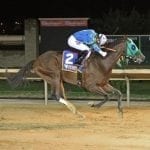 Laurel Park Racing Notebook, Vol. 6