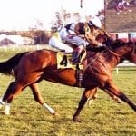 Rodman: In Preakness, expect the unexpected