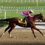 Top field to line up for De Francis Dash