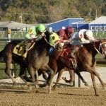 Irish War Cry carries Haskell line to Marylander win