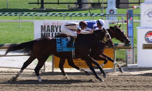 Promising juveniles shine on Maryland Million day