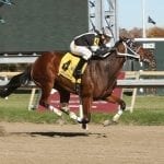 HorsePac-supported candidates win races