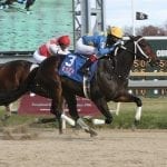 Study details impact of Maryland horse industry