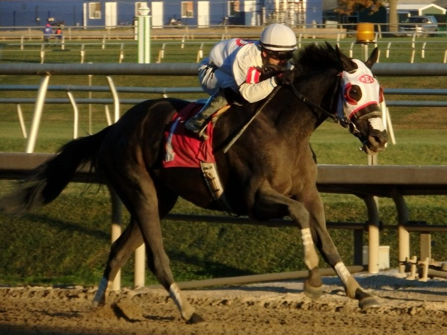 Claiming Crown preview builds (some) excitement * The Racing Biz
