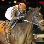 La Vitesse looks to deliver on promise in Blue Mountain