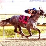 Reightler brings big, consistent group to Fasig-Tipton Mixed Sale