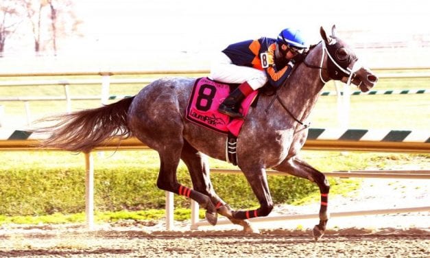 Maryland-based El Areeb headlines Withers field