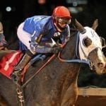 De Francis Dash 2016 photo gallery