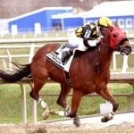 Maryland Jockey Club handle growth continues with strong De Francis