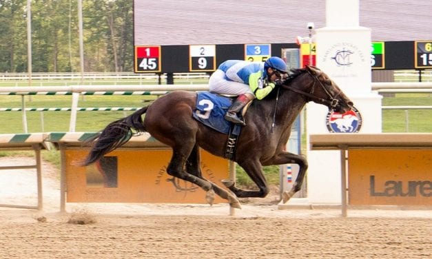 Maryland-based runners grab stakes laurels