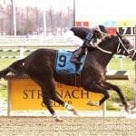 Pricey Johnny Hop wins on debut