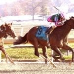Fiber Sonde offspring could have big Race for the Ribbon day