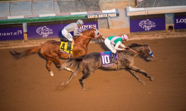 Arrogate romps in Pegasus World Cup