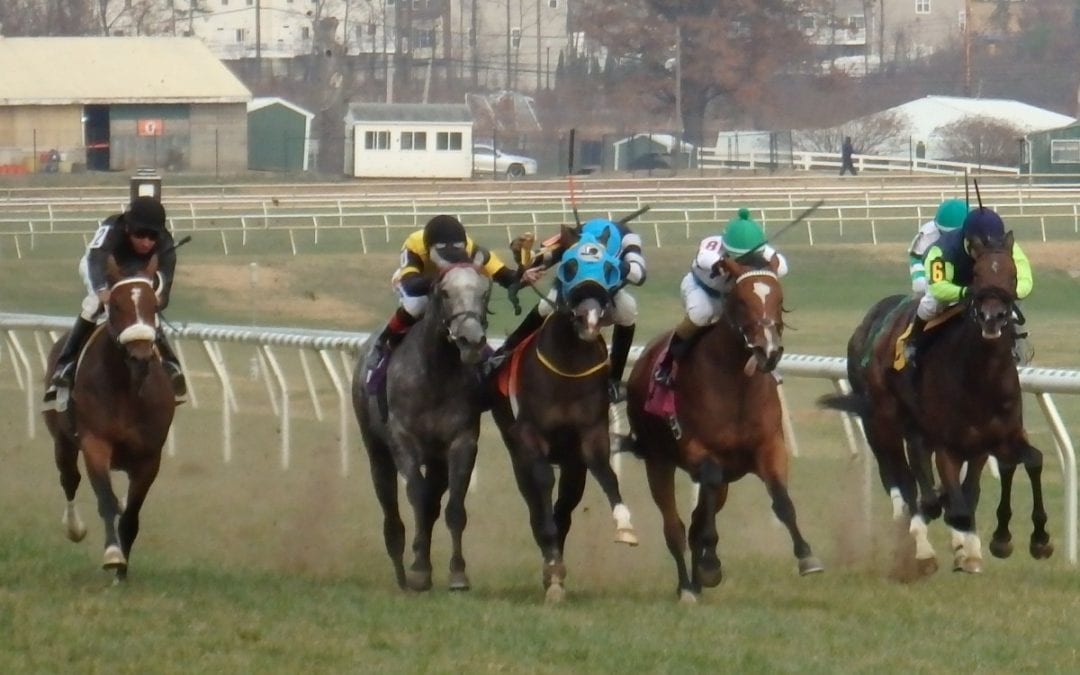 Of killer squirrels and no-calls at Laurel Park