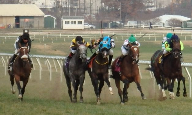 Of killer squirrels and no-calls at Laurel Park