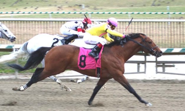 Photo gallery: Laurel Park New Year’s Eve stakes