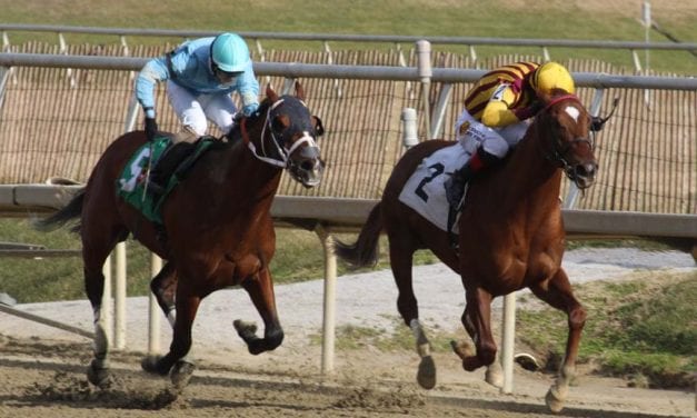 NJ-bred Irish War Cry tackles big boys in Holy Bull