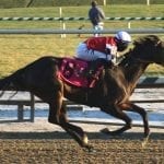 Hear the Chatter cruises in CT allowance