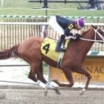 Irish War Cry carries Haskell line to Marylander win