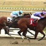 High Roller, Star Super take Laurel sophomore stakes