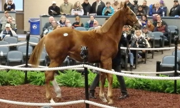Fasig-Tipton Mixed Sale inches up from ’16