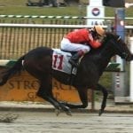 Sunny Ridge takes Jazil Stakes