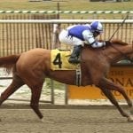 Carr’s Exaggerator photo wins Frutkoff Award