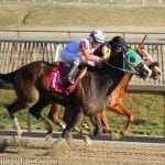 Gov. Hogan: No $300 million check for Pimlico