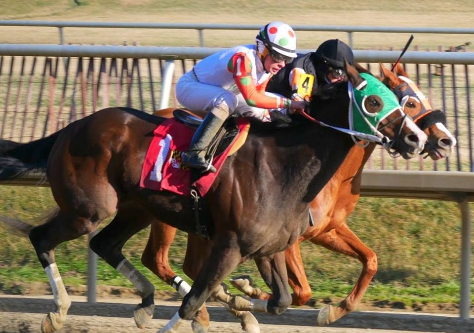 Slick William Delivers the Thrill of Victory