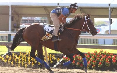 Hipnotizada is first winner for Uncle Lino