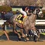 Va-bred Rapid Rhythm takes Fair Grounds stake