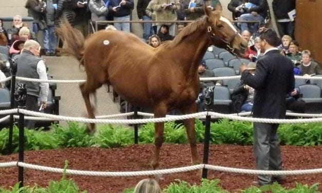 Fasig-Tipton Yearling sale 2020: Hips to watch