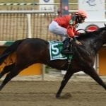 Laurel Park to host Fantasy Owners’ Day