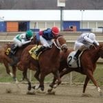 Accelerate headlines Saturday’s $9 million Pegasus