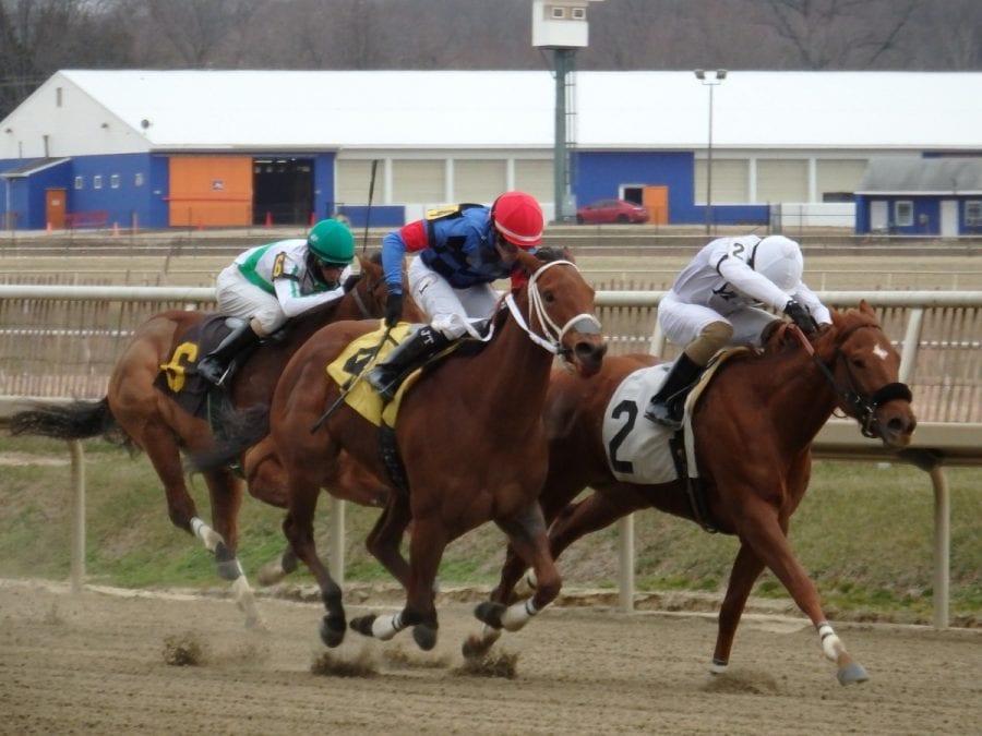 Laurel Park