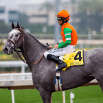 Blue-collar trainer Potts looking to change with the times