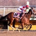 Matt King Coal survives duel, objection to win Johnson Memorial