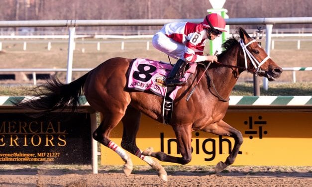Jenda’s Agenda remains undefeated with Caesar’s Wish win