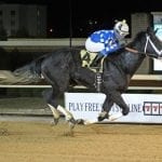 Jockeys: Alternate stats