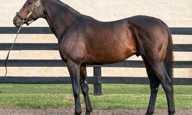 Peace and Justice: Son of War Front standing in PA, with huge incentive