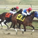 Twisted Tom runs down O Dionysus to win Private Terms