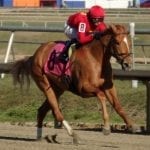 Maryland Million slated for October 21